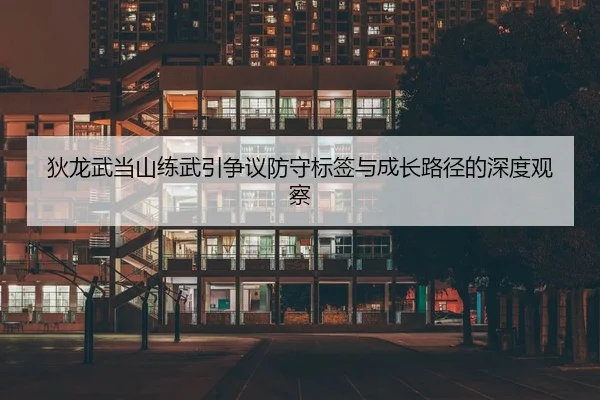 狄龙武当山练武引争议防守标签与成长路径的深度观察