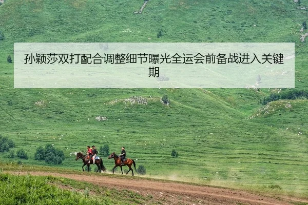 孙颖莎双打配合调整细节曝光全运会前备战进入关键期